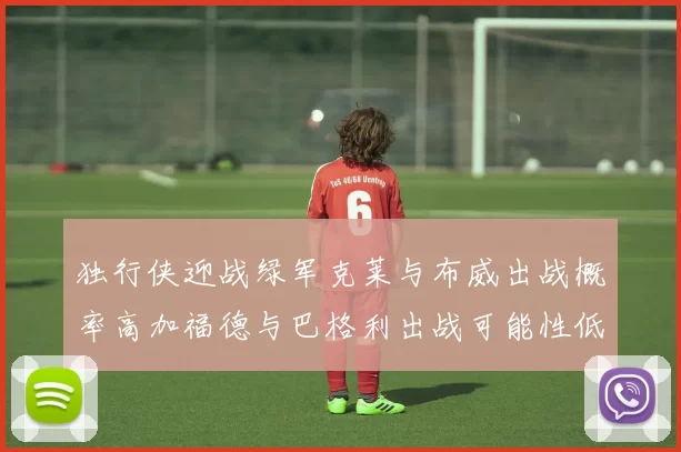 独行侠迎战绿军克莱与布威出战概率高加福德与巴格利出战可能性低