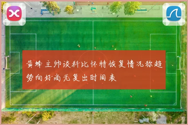 黄蜂主帅谈科比怀特恢复情况称趋势向好尚无复出时间表