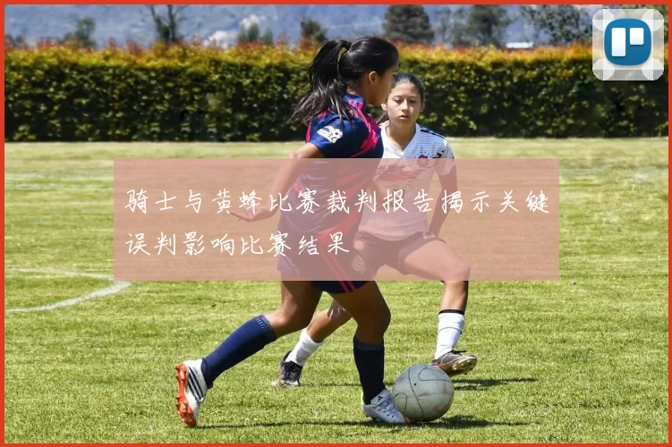骑士与黄蜂比赛裁判报告揭示关键误判影响比赛结果